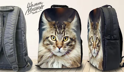 Прикольные футболки: рюкзак кот3